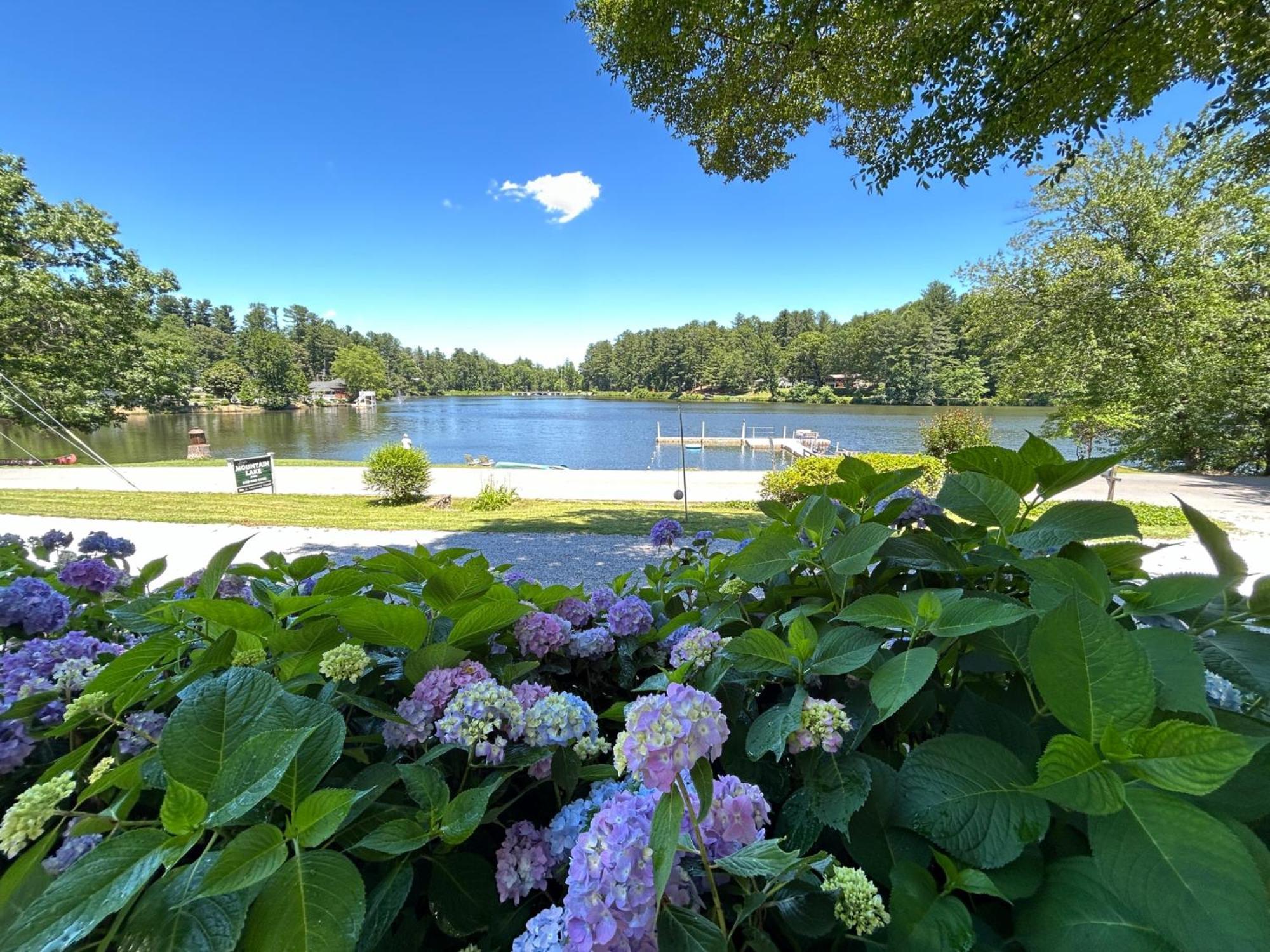 Mountain Lake Cottages 헨더슨빌 외부 사진